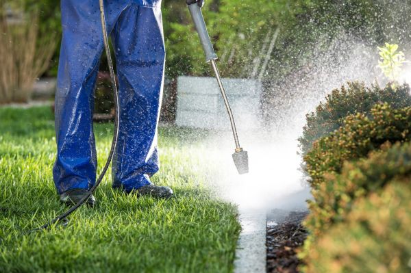 Cost of Curb Cleaning in Chula Vista