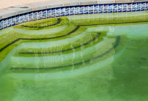 Pool Deck Algae Removal in Chula Vista