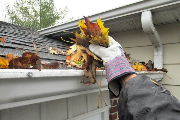 Cost of Eaves Cleaning in Chula Vista